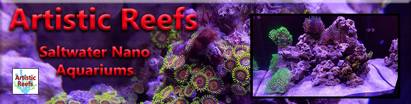 Artistic Reefs